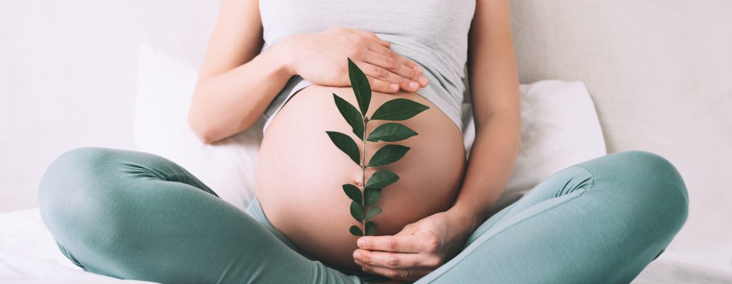 Pregnant,Woman,Holds,Green,Sprout,Plant,Near,Her,Belly,As